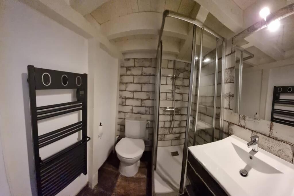 Apartament T1 Bis Cosy- Hypercentre - Clim - Metro - Wifi Tuluza Zewnętrze zdjęcie